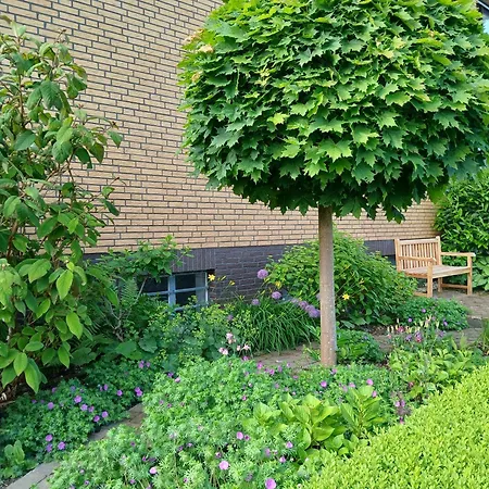 Feld Und Wiese Apartment